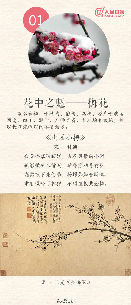常识积累：中国传统十大名花