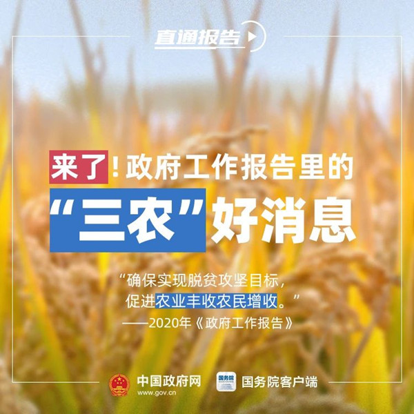 公务员考试时政：政府工作报告中的“三农”好消息